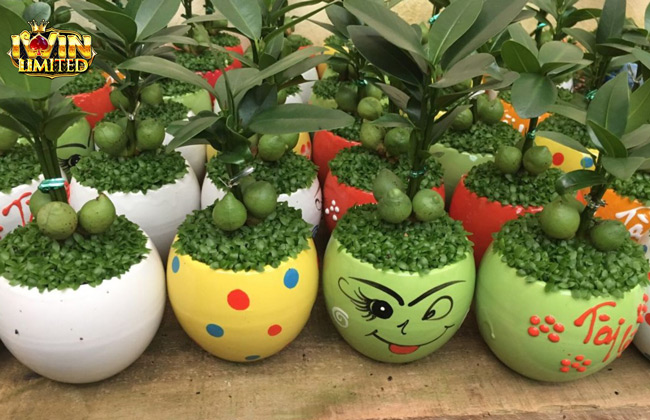 Giới thiệu top 3 vật dụng may mắn chơi iWin toàn thắng từ cao thủ