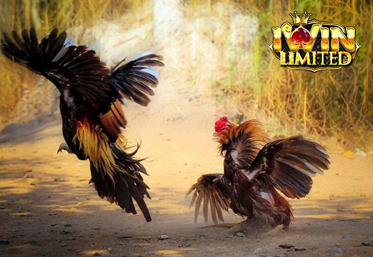 Xây dựng chiến lược chơi hiệu quả