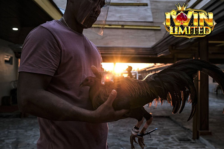 Thấu hiểu luật chơi và quy định trên iWin